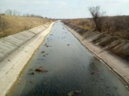 Болото и трава: в сети появились новые фото Северо-Крымского канала