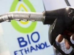 Госэнергоэффективности инициирует установление обязательных квот на биотопливо
