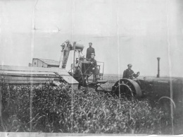 Испытание первого комбайна, цеха и панорама завода: в сети опубликованы довоенные фото "Коммунара"