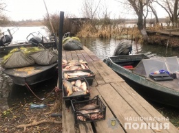 Браконьеры притворились учеными и наловили в Днестровском лимане рыбы на 50 тысяч