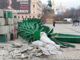 В Киеве начали устанавливать главную елку страны: первые фото, видео