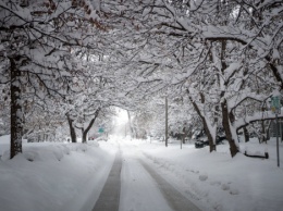 В США во всех регионах выпал снег: Многие дороги перекрыты, а рейсы в аэропортах отменены