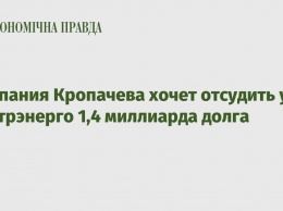 Компания Кропачева хочет отсудить у Центрэнерго 1,4 миллиарда долга