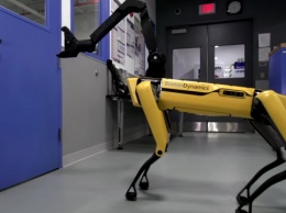 Американские копы "взяли на службу" собаку-робота Spot