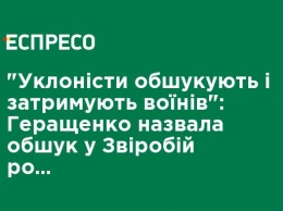 "Уклонисты обыскивают и задерживают воинов": Геращенко назвала обыск у Зверобой расстраиванием полицейского государства