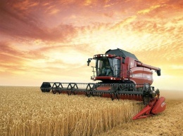Среди лидеров страны: на Черниговщине собрали больше 4 млн тонн зерновых