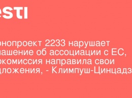 Законопроект 2233 нарушает Соглашение об ассоциации с ЕС, Еврокомиссия направила свои предложения, - Климпуш-Цинцадзе