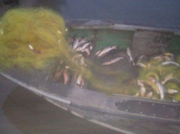Житель области наловил в Хаджибейском лимане рыбы на четверть миллиона гривен