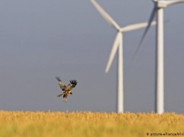 Ветроэнергетика в Германии: будущее туманно?