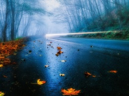 Конец ноября: дождь, мокрый снег, туман и ветер! Погода в Украине на 30 ноября