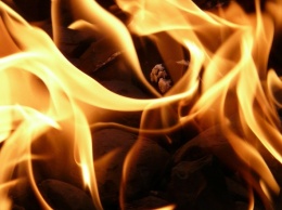 На Прикарпатье сгорел в машине замдиректора лесхоза