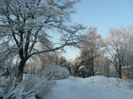 Как прошел первый день зимы 1 декабря: яркие фото и картинки