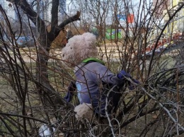 Жители Левобережного прячут в кустах оригинальное пугало (ФОТОФАКТ)