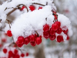 Синоптики прогнозируют ухудшение погодных условий в Киеве - снег, гололед