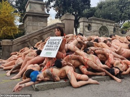 Испанские активисты за права животных устроили голый флешмоб. Фото