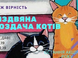 Днепрян приглашают на «Рождественскую раздачу котов»