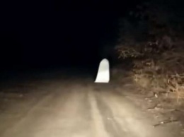 Люди среди ночи засняли на дороге "чудовище" в мантии (видео)