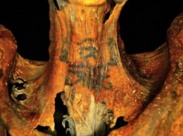 Ученые обнаружили на древнеегипетских мумиях невидимые татуировки