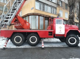 В Кривом Роге возле дома спасатели сняли с дерева кота