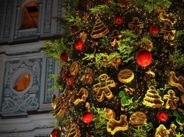 Праздник приближается: в КГГА рассказали, как в Киеве будут праздновать Новый год и Рождество