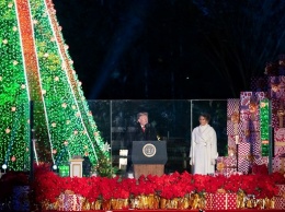 Трамп зажег огни на главной рождественской елке