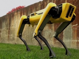 В США полиция штата Массачусетс взяла на работу робота-собаку от Boston Dynamics (ВИДЕО)