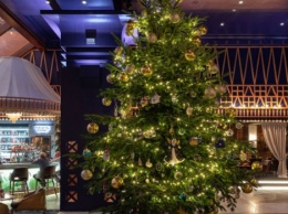Назвали самую дорогую в мире рождественскую елку