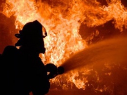 С начала года в Украине на пожарах погибло более 1,6 тыс. человек, - ГосЧС