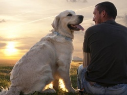 Почему собаки преданы своим хозяевам: ученые выяснили причину