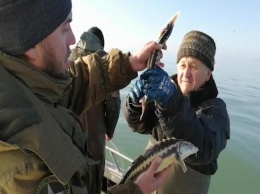 На Азове пограничники обнаружили километры сетей с краснокнижным уловом
