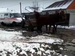 На Закарпатье лошади "спасали" машину скорой помощи (видео)