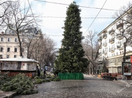 На Дерибасовской главный атрибут Нового года готов к украшению (фото)