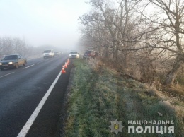 На Николаевщине «Мицубиси» врезался в дерево: погибла пассажирка