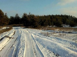 Где и по какой цене можно купить елку в Луганской области