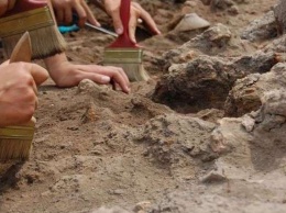 Древние украшения и монеты: под Киевом откопали настоящий клад