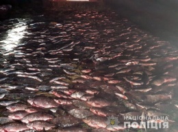 «Рыбная ночь»: крупный улов изъяли полицейские у водных браконьеров на Херсонщине