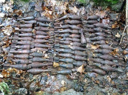 Клад боеприпасов: на Полтавщине уничтожили 77 мин, найденных в лесу под деревом