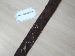 На Николаевщине в реке нашли меч, которому более 500 лет, - ФОТО