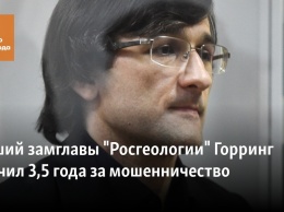 Бывший замглавы "Росгеологии" Горринг получил 3,5 года за мошенничество