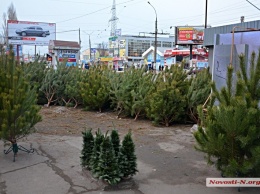 «Николаевцы останутся без елок»: исполком не утвердил места для продажи новогодней атрибутики