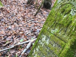 На Тернопольщине для фундамента фермы использовали еврейские надгробия