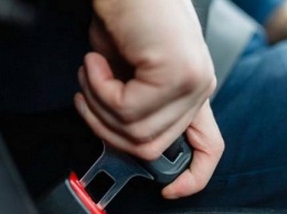 В Донецкой и Луганской более 85% водителей игнорируют ремни безопасности