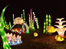 Чем удивил фестиваль китайских фонарей в Киеве