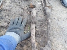 Под школой в Борисполе обнаружили скелеты, в том числе одного подростка