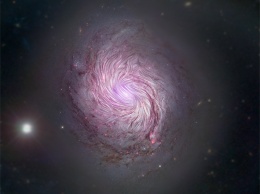 Фото дня: магнитная сущность спиральной галактики