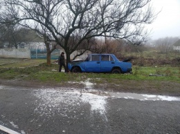 В Запорожской области легковушка влетела в дерево и загорелась