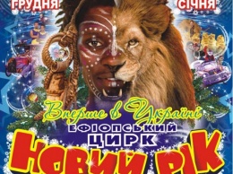 В цирке Днепра покажут новогоднее шоу из жаркой Африки