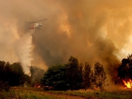 Масштабные пожары в Сиднее: загрязнение воздуха в 11 раз превышает норму