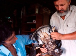 Семья московских биологов переехала в глубинку спасать птиц и рысей