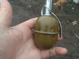 В Новомосковске у мужчины изъяли гранату